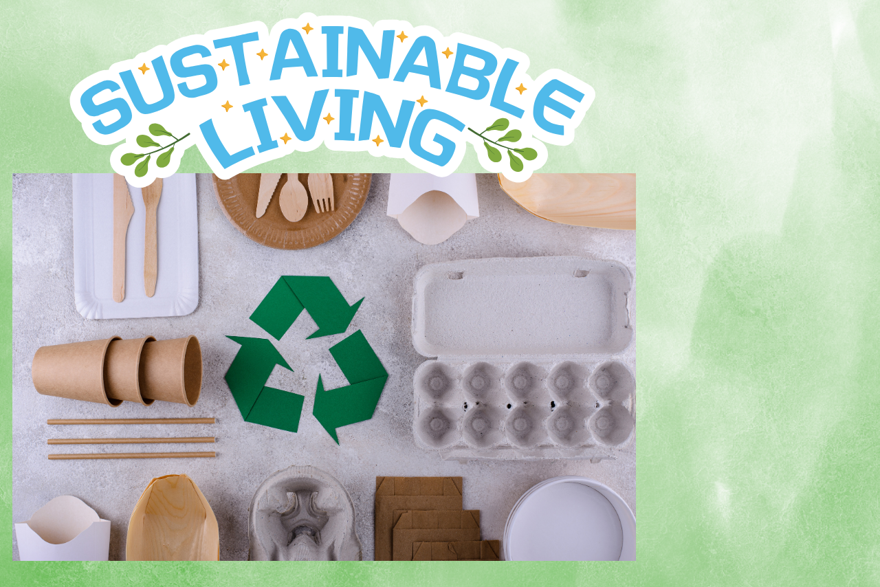 The picture shows a sustainable living graphic with the words sustainable living above the graphic.