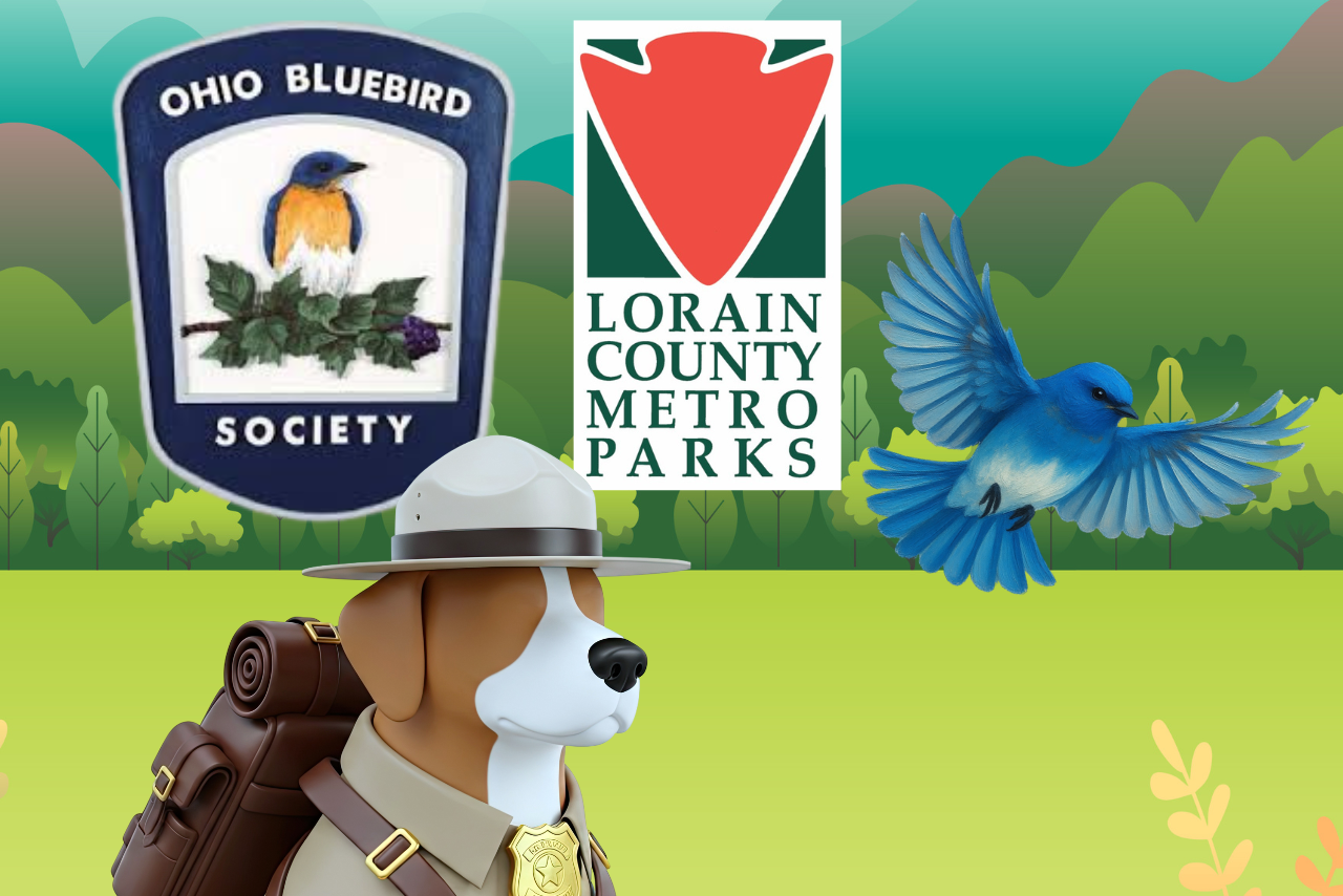 Bluebird Walk at Royal Oaks with Lorain County MetroParks
