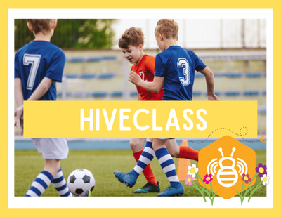 Check out Hiveclass. The latest sports encyclopedia for kids